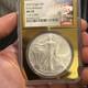 2025 Eagle? Early Release? Ngc Ms70? Vegas Gold Label