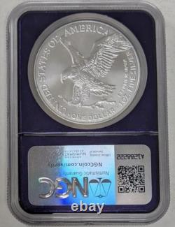 2025 (P) S$1-oz American Silver Eagle? Eagle Privy NGC MS69 TraderBea Purple