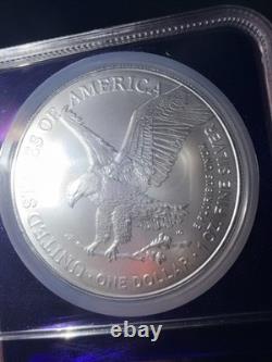 2025 (P) S$1-oz American Silver Eagle? Eagle Privy NGC MS69 TraderBea Purple