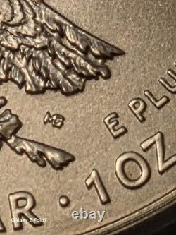 2025(P) Silver Eagle Eagle Privy PCGS MS70