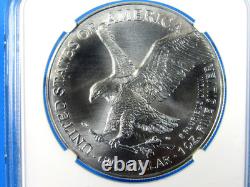 2025 (P), W, S, 6-Coin, American Silver Eagle Year Set NGC Pf/MS 70 FDOI