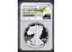 2025 S Proof Silver Eagle Ngc Pf 70 Uc First Day Of Issue Mtn Presale