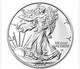 2026 1 Oz American Silver Eagle Coin (bu)