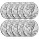 2026 1 Oz American Silver Eagle Coin (bu Lot Of 10)