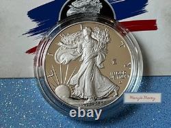 2026 W PROOF AMERICAN SILVER EAGLE OGP 26EA 250th LIBERTY PRIVY one day ship