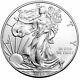 20 2013 1 Oz Silver American Eagle Brilliant Uncirculated Coin In Us Mint Tube