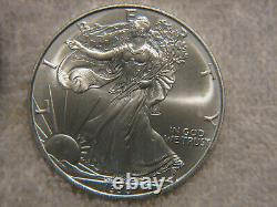 20 ea. 1996 American Silver Eagles, One US Mint Roll Sleeve Lot Tube AU/BU Rare