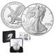 250th Anniversary Us Army American Eagle One Ounce Silver Proof Coin