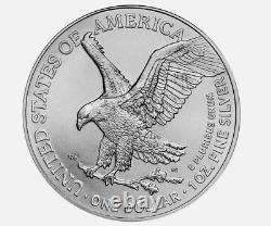 5PC 2024 Hot American Eagle Coins 1 oz. 999 Fine Silver BU In Stock