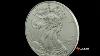 American Silver Eagle Coin Texas Precious Metals