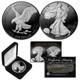 Black Ruthenium Silhouette 1 Troy Oz Us Mint 2024 American Silver Eagle With Box