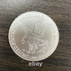 Lot of 10 2025 $1 American Silver Eagle 1 oz Brilliant Uncirculated