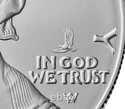 Lot of 2 2025 (W) $1 American Silver Eagles withEagle Privy 1 oz BU 500K Minted