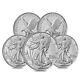 Lot Of 5-2024 $1 American Silver Eagle 1 Oz Bu
