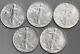 Lot Of 5 Coins 1994 American Silver Eagle One Dollar Coin In Rubber Flips