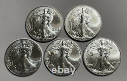 Lot of Five 2023 1 oz American Silver Eagle Coins BU in Vinyl Flips