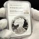 Proof 2001 W $1 Silver Eagle Ngc Pf70uc Modern Brown Label Rare Mint Wow