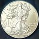 Rare, Lowest Mint! 2015 P Silver Eagle Coins Read Description
