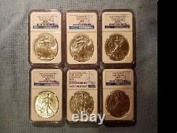 Silver Eagle Lot-48 Coins- 2006-2022 All MS-70