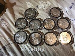 Silver eagle coin lot of 10