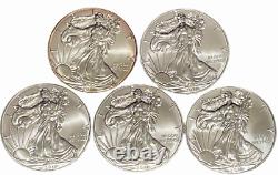 UNC 2011 American Silver Eagle Dollar Original US Mint Roll 20 ASE Silver Coins