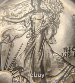 1989 1 Oz Silver Eagle Ngc Ms 69 Mint Error Obverse Et Reverse Struck Thru