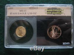 1989 $ 5 En Or American Eagle Pci Rare Old Holder État Mint 65