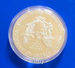 1995 Aigle américain en argent 1 oz, argent fin 999, Walking Liberty plaquée or 24 carats