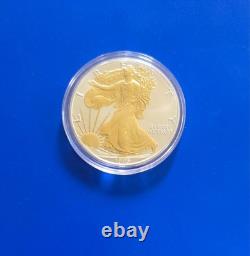 1995 Aigle américain en argent 1 oz, argent fin 999, Walking Liberty plaquée or 24 carats