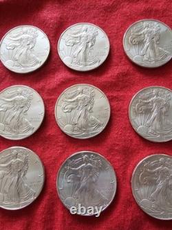 2013 (12) Pièces de dollar en argent américain Silver Eagle 1 oz 0,999 argent fin non circulées