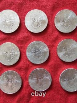 2013 (12) Pièces de dollar en argent américain Silver Eagle 1 oz 0,999 argent fin non circulées
