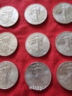 2013 (12) Pièces de dollar en argent américain Silver Eagle 1 oz 0,999 argent fin non circulées