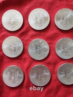 2013 (12) Pièces de dollar en argent américain Silver Eagle 1 oz 0,999 argent fin non circulées
