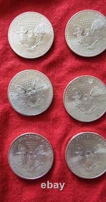 2013 (12) Pièces de dollar en argent américain Silver Eagle 1 oz 0,999 argent fin non circulées