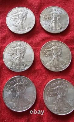 2013 (12) Pièces de dollar en argent américain Silver Eagle 1 oz 0,999 argent fin non circulées