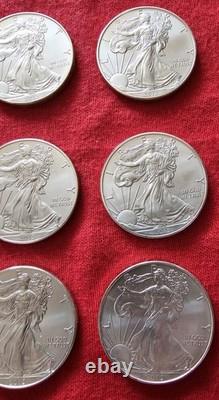2013 (12) Pièces de dollar en argent américain Silver Eagle 1 oz 0,999 argent fin non circulées