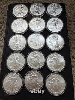 2013 Dollars en Argent Américains Eagle, Liberté Marchante dans Capsule 1 oz (Lot de 15)