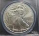 2014 Aigle D&rsquo;argent Walking Liberty Pcgs Ms69 S1$ First Strike Drapeau Des &Eacute;tats-unis