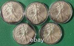 2014 Lot de 5 pièces d'argent d'une once Silver Eagle. Terni autour des bords avant et arrière. Voir la photo.