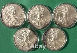 2014 Lot de 5 pièces d'argent d'une once Silver Eagle. Terni autour des bords avant et arrière. Voir la photo.