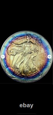 2015 Aigle en Argent Américain Tanné