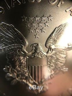 2015 (p) Silver Eagle Icg Ms70 1 Usd Frappé À La Monnaie De Philadelphie 1 Sur Seulement 79 640