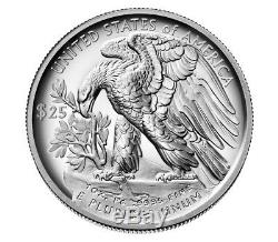 2018 W Pièce De Monnaie Américaine American Eagle Avec Preuve De Palladium Confirmée, Boîte Scellée À La Menthe Des États-unis Nouveau