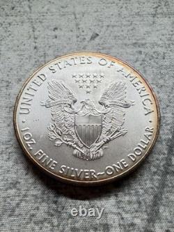 2019 American Silver Eagle ASE 1 oz circulé, superbe, monstrueusement patiné