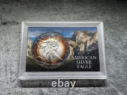 2019 American Silver Eagle ASE 1 oz circulé, superbe, monstrueusement patiné