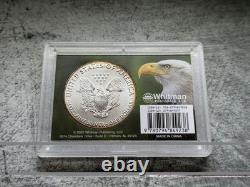 2019 American Silver Eagle ASE 1 oz circulé, superbe, monstrueusement patiné