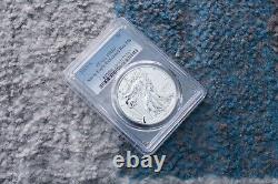 2019 S Enhanced Reverse Proof Silver Eagle Coin 19xe (pcgs Pr69), Mint Condition