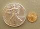 2020 1 Oz American Silver Eagle & 1/10 Oz Américaine Gold Eagle Bullion Coin Lot