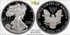 2020-w 1 $ American Silver Eagle Pr70dcam Pcgs. Belle Pièce. Trueview
