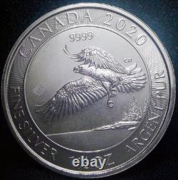 2020 pièce de 1,5 oz en argent fin de la Monnaie royale canadienne de 8 $ Série Faune Aigle à tête blanche